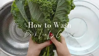 How To Wash Dark Leafy Greens [So You Don't Eat Bugs]