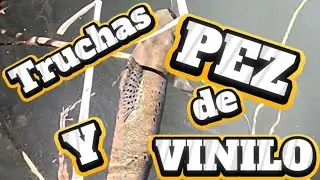 pescando truchas a vinilo