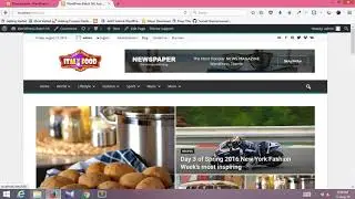 SoftTech-IT | Premium Theme Customization Part- 2 | Basic WordPress | Class 5 | Fans of Power