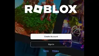 Roblox Privacy and games Guide for Beginners