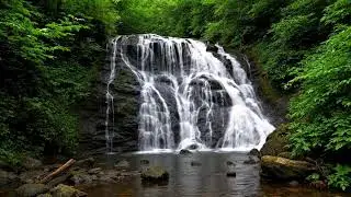 Gentle Forest Ambience with Green Stream Flow for Sleep Meditation Deep Relaxation and Stress Relief