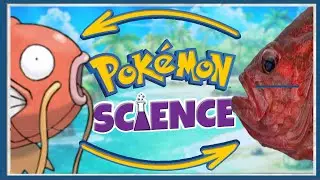 Magikarps SECRET Power!?  - The Science of Pokemon
