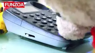 Hello yar kasa hai tu//Funny teddy bear videos//Funzoa Funpage