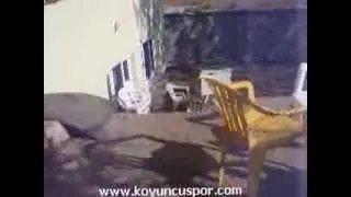 Bitlis Norşin Seyda Ailesinin Divanı