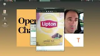 RANT - No More Lipton Tea Bags??
