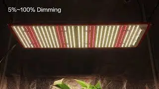 KingBrite QB Classic 240w led growing light