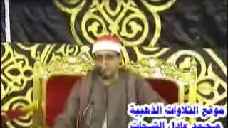 الشيخ محمد الحسينى عيطة الشورى صبيح 21 9 2013 هيثم ممدوح  محمد الشحات