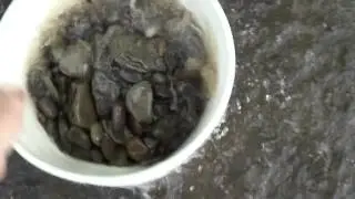 DIY Bucket Classifiers