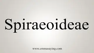 How To Say Spiraeoideae