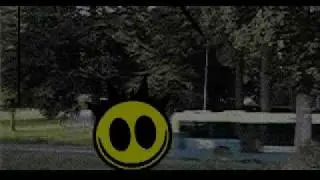 303 MONKEYS - eager