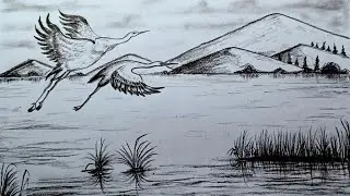 Flying birds drawing // Charcoal pencil scenery drawing