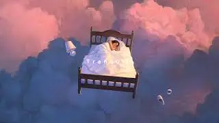 I N S O M N I A  -  Lofi / Chill Mix