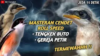 Masteran Cendet Ampuh | Tengkek Buto & Gereja Petir Jeda 15 Detik