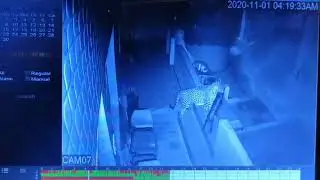 LEOPARD ATTACK DOG CCTV