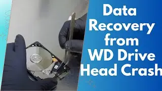 WD Head Crash Case Study After a Dropped External Drive