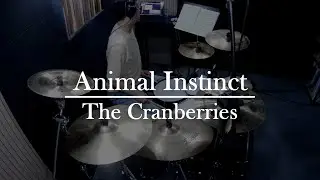 The Cranberries - Animal Instinct (Drum Cover)