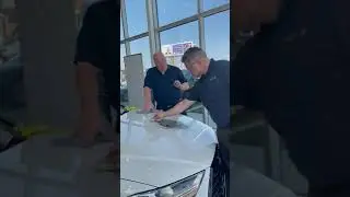 PermaPlate A8L Lafayette Audi Volkswagen