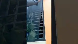 aluminium windows mosquitio net fitment-sticker type velcro🏠safe purpose.