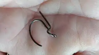 #emergency #dogcare  fish hook removal. part 2