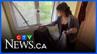 NS small business faces rising shipping costs