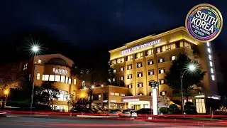 New Donghae Hotel | Donghae-si, South Korea | Hotel Review 🛏️