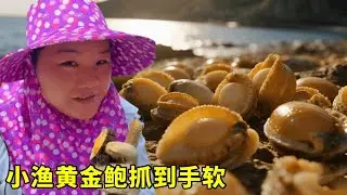 小漁闖入「鮑魚自由」聖地！礁石縫裡擠滿黃金鮑，多到懷疑人生！ 【漁小仙】