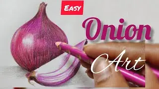 Onion drawing easy 🧅🧅/ Onion art with colour #pencilart #colourpencil