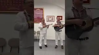 Tambura&scaron;i Učitelji - Olivera (Bala&scaron;ević)