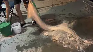 Fishing at GC Australia