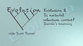 Evolution 8. Is natural selection correct? Darwin's reasoning
