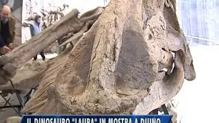 IL DINOSAURO 
