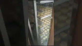 24 tray Rotary Oven