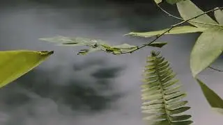 Relaxing Guitar Instrumentals &ndash; Peaceful Acoustic Music