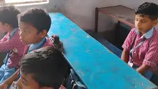 17042025 - Discus Different types of Plants with Sarfaraz Sir