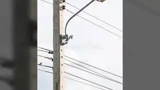Chamada da Endesa no seu melhor... electricidade ta roba di poste
