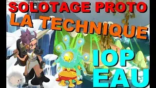 [SOLOTAGE] protozorreur iop eau lvl 200 - Dofus 3.0