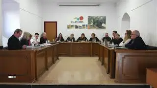 Ple extraordinari, 13 de Febrer de 2025