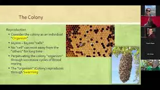 Beekeeping 101 for Farmers
