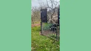 Mitcham Orchard - Virtual Tour