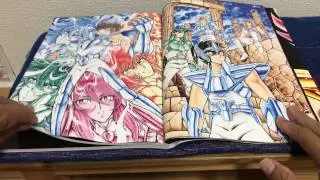 Saint Seiya 30th Anniversary Shuunen Kinen Gajuu Seiiki