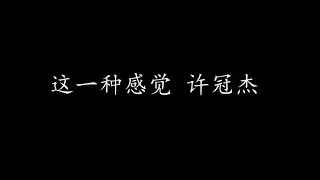 这一种感觉 许冠杰 (歌词版)
