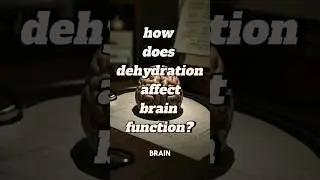 your brain might just be thirsty 🧠💧
