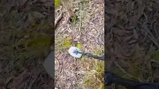 Searching for Gold in Australia's Golden Triangle⛏ Garrett Gold Detector