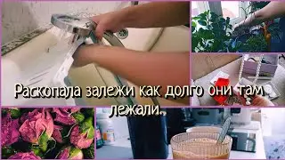 Влог : Намыла холодильник.  Прибралась в шкафчике. Нашла кое что интересное 😁