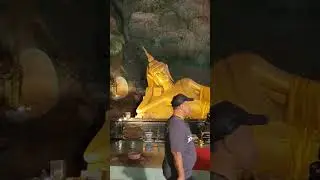 Buddha In A Cave #buddha#monkey#cave#phuket#tourist#spot#shorts#subscribe
