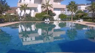 ايمي ودار