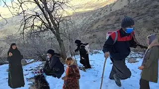 The sheep got lost in the ravines,the leopard attacked;Khadija's tears amidst the snow and mountains