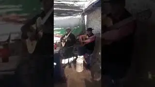 los jilgueros del atuel