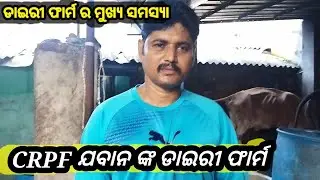 CRPF ଯବାନ ଙ୍କ ଡାଇରୀ ଫାର୍ମ||ଡାଇରୀ ଫାର୍ମ ର ମୁଖ୍ୟ ସମସ୍ୟା||How to Start dairy Farm||@adityadairyfarm&f..