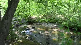 Ireland Brook